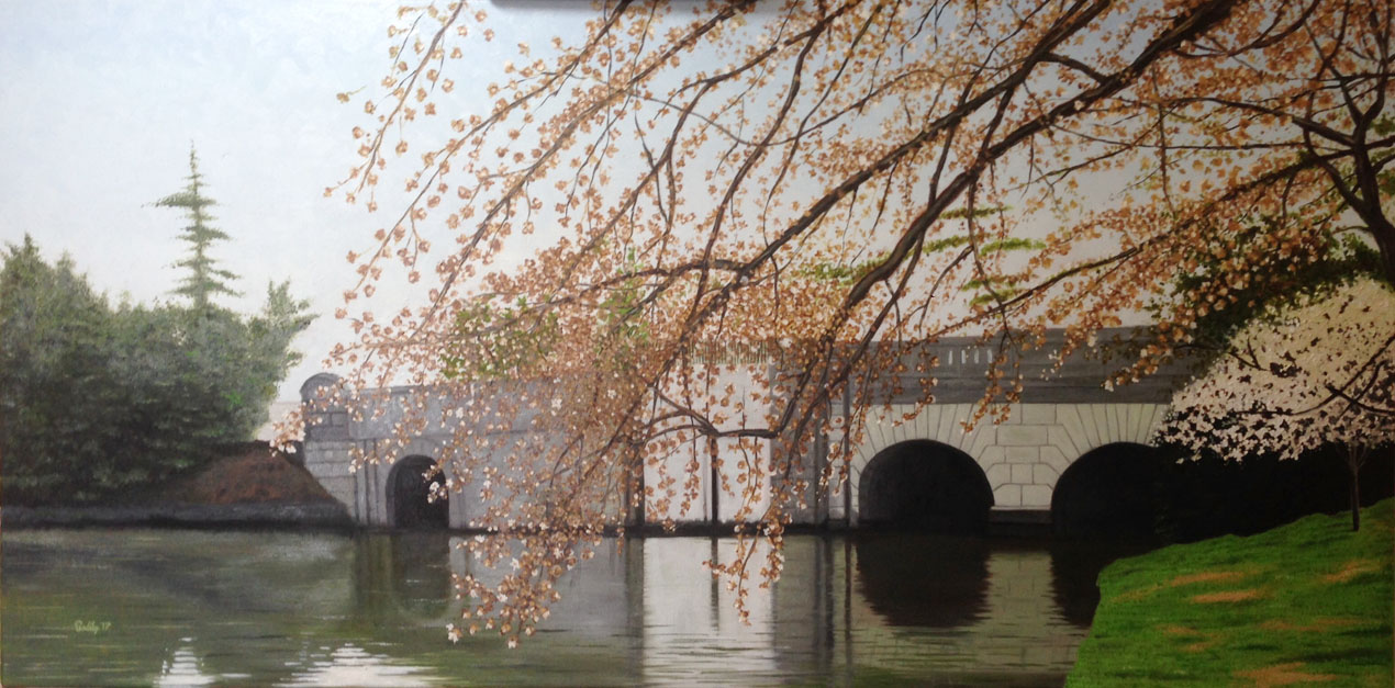 Cherry Blossoms
