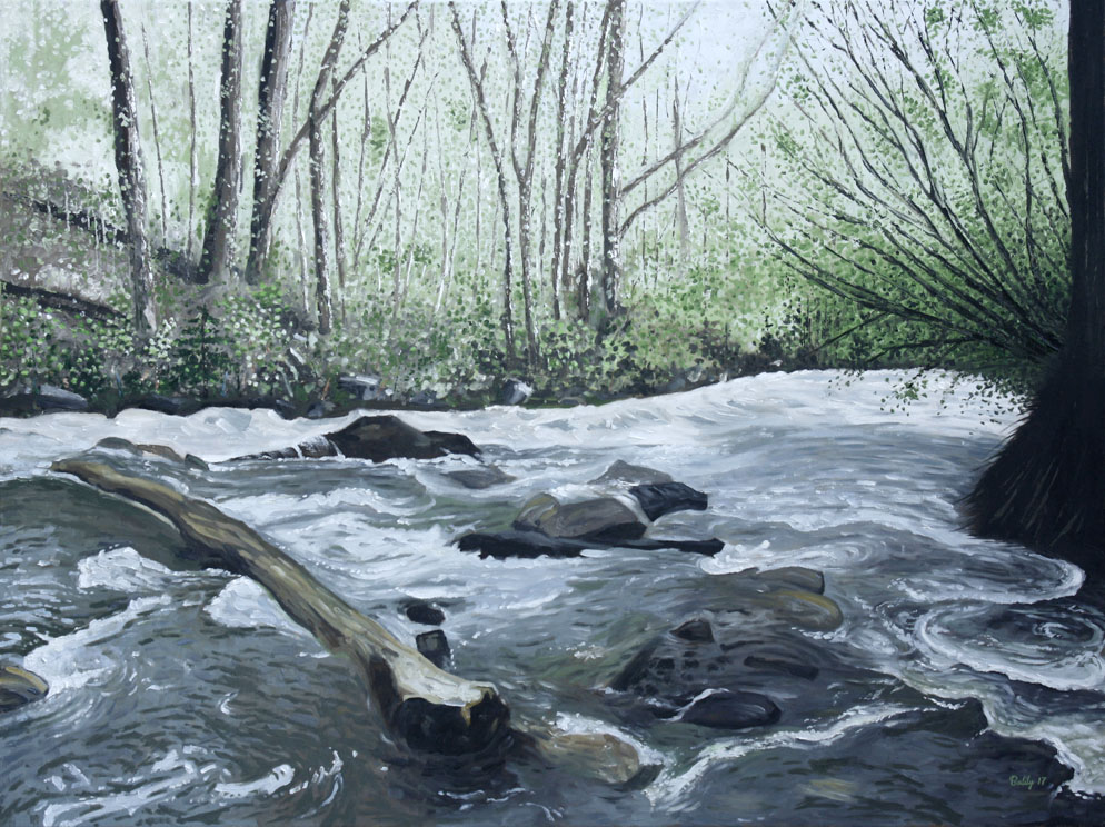 Tibble Fork Stream