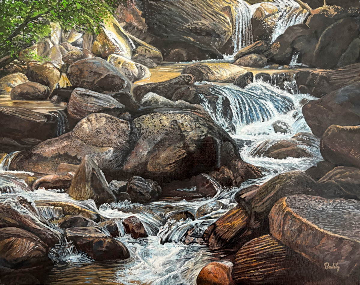 Colorado Stream