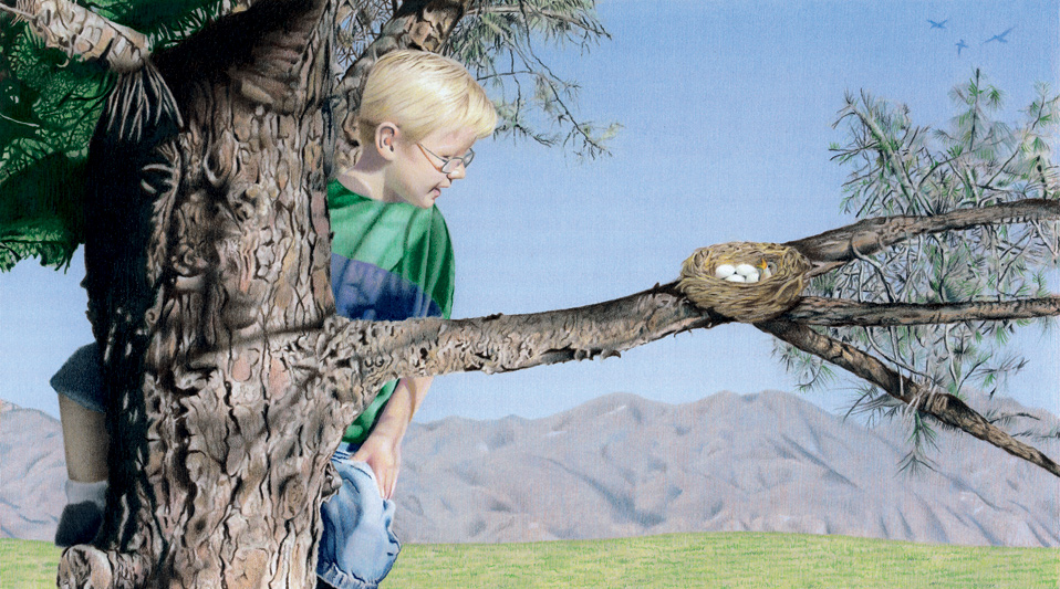 Kid in a Tree